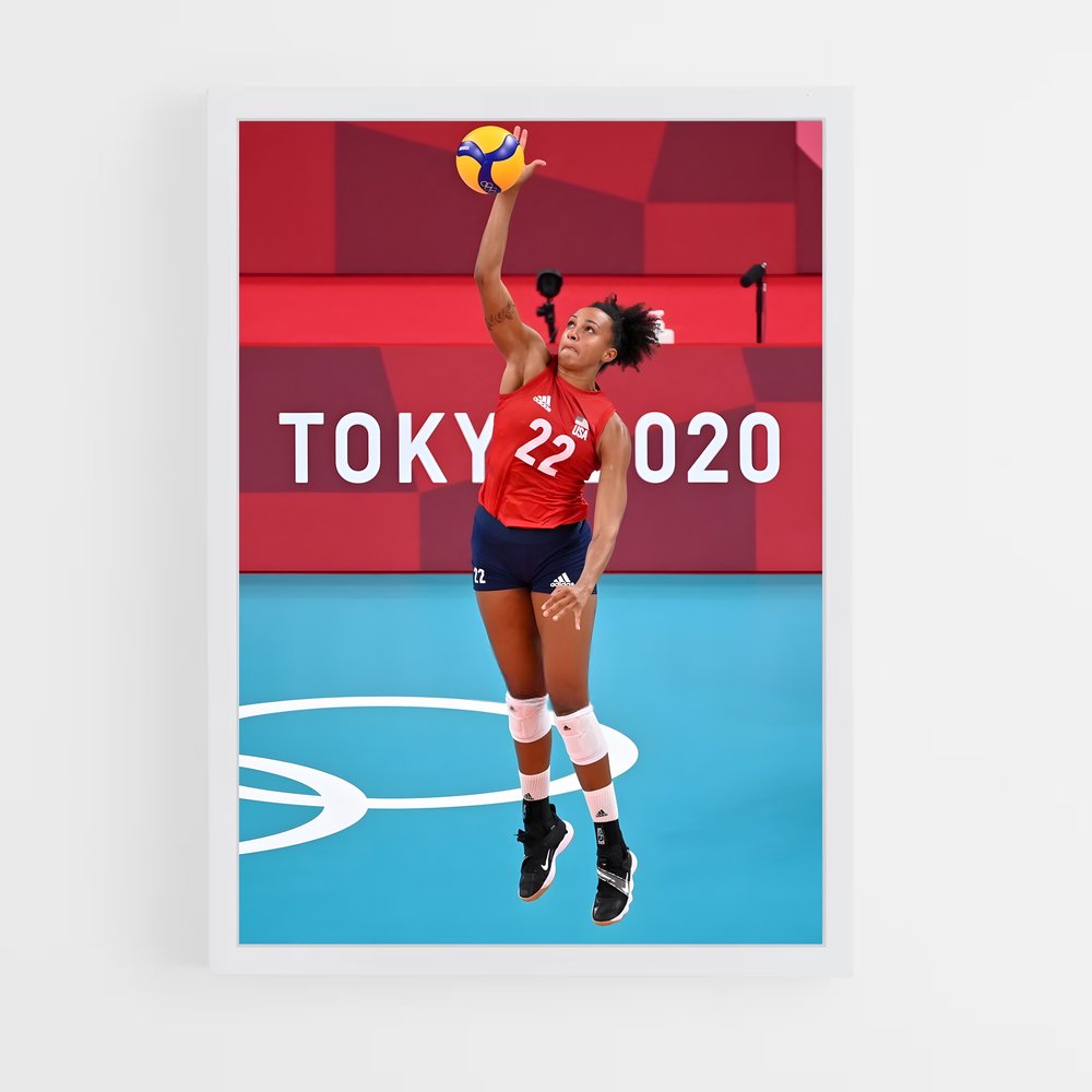 Poster Volleyball de world (vue 3)